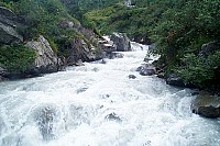 dcp_5295.jpg