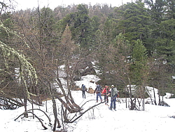 img_6745.jpg