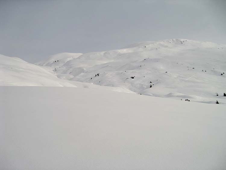 img_3771.jpg