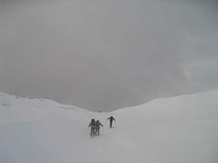 img_3913.jpg