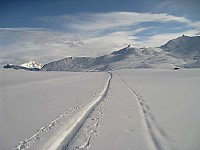 img_3754.jpg