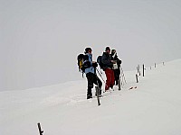 img_3766.jpg