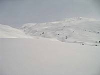 img_3771.jpg