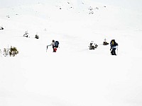 img_3776.jpg
