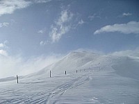 img_3791.jpg