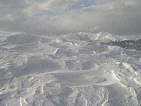 img_3843.jpg