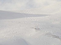img_3889.jpg