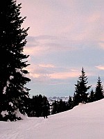 img_3933.jpg