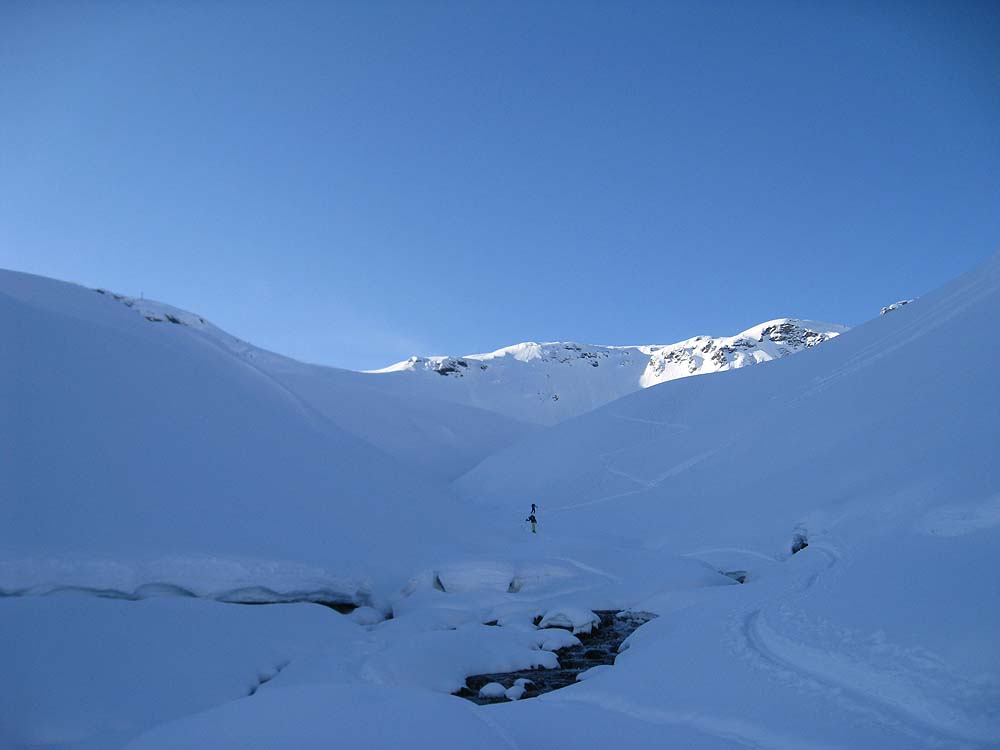 img_2238.jpg