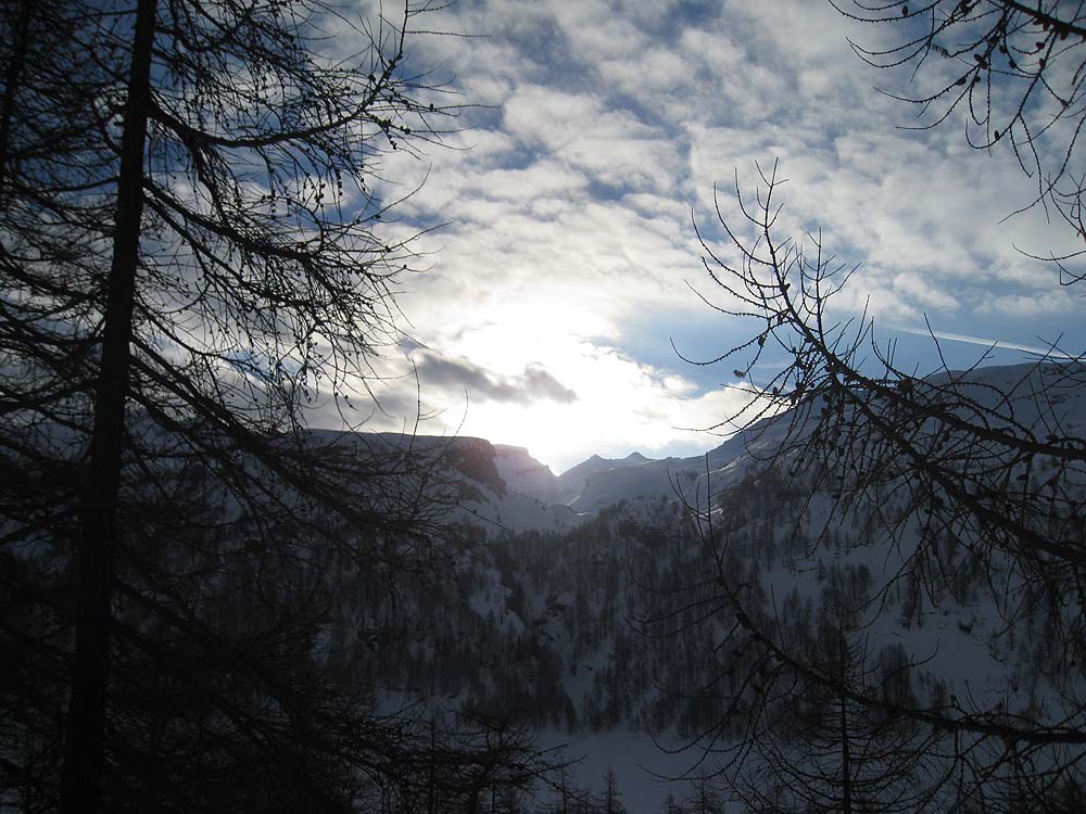 img_2370.jpg