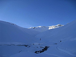 img_2238.jpg