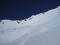 img_2295.jpg