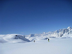 img_2311.jpg