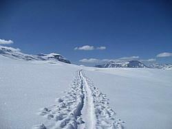 img_2320.jpg