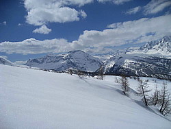 img_2329.jpg