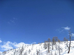 img_2330.jpg