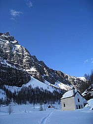 img_2350.jpg