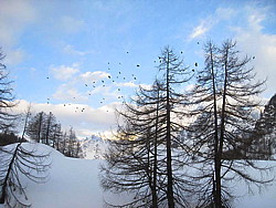 img_2360.jpg