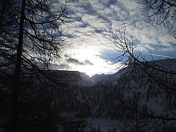 img_2370.jpg