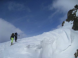 img_2385.jpg