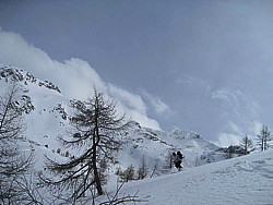 img_2421.jpg