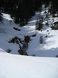 img_2423.jpg