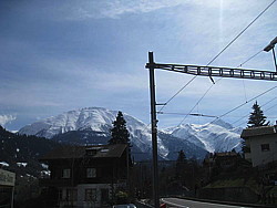 img_2431.jpg