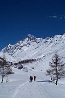 dcp_4812.jpg