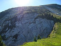 img_3015.jpg