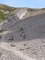 img_3091.jpg