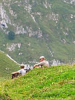 img_3176.jpg