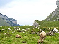 img_3180.jpg