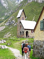img_3181.jpg