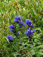 img_3183.jpg