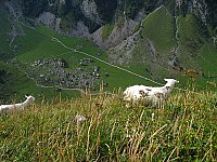 img_3184.jpg