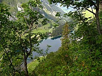 img_3185.jpg