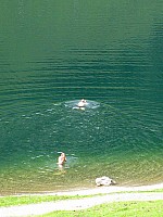 img_3189.jpg