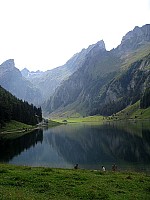 img_3194.jpg