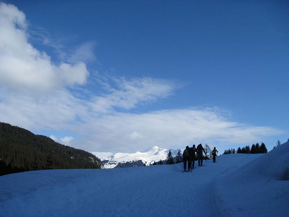 img_9500.jpg