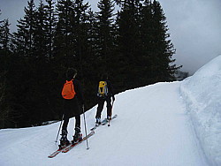 img_9460.jpg