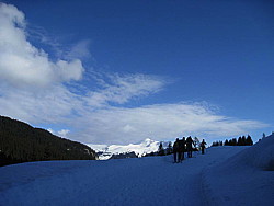 img_9500.jpg