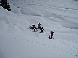 img_9534.jpg