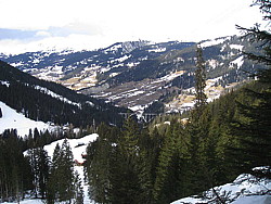 img_9538.jpg