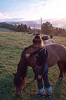 100_0810.jpg