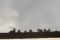 100_0825.jpg