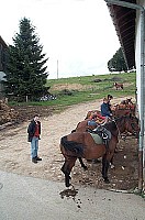 100_0832.jpg