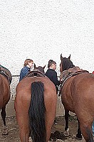 100_0842.jpg