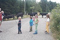 100_0857.jpg