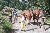 100_0861.jpg