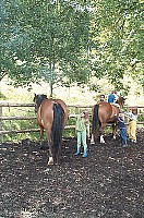 100_0862.jpg